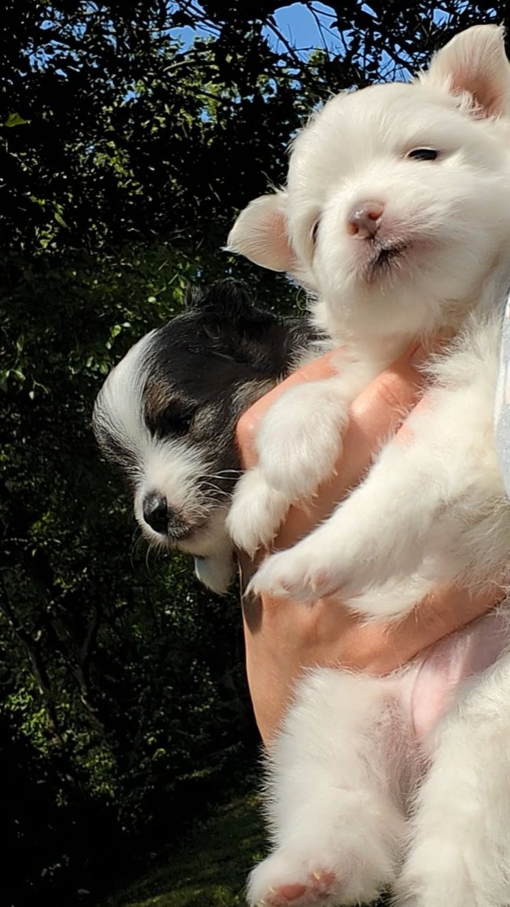 Enjoying The Great Outdoors.