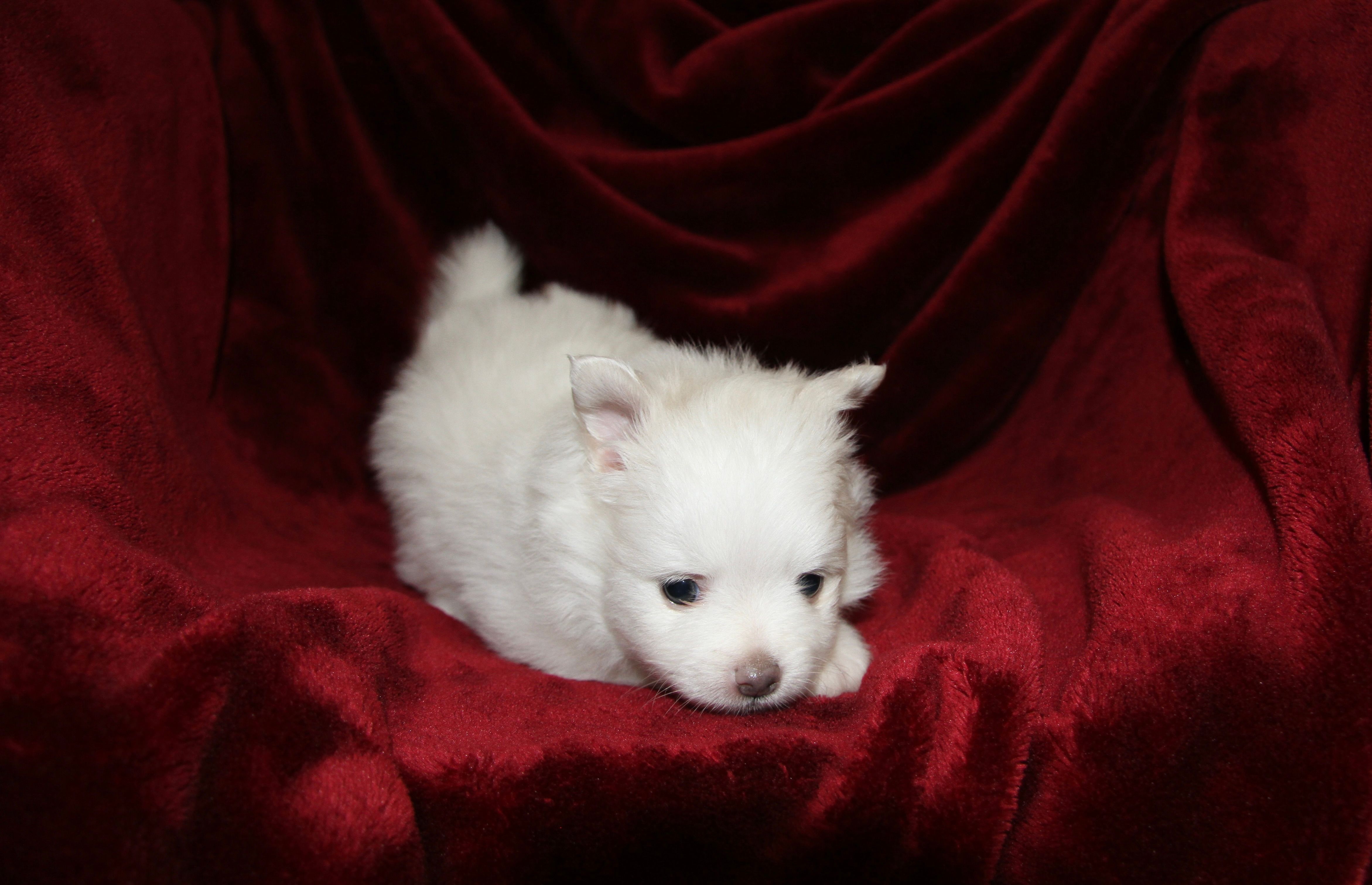 Photos!!