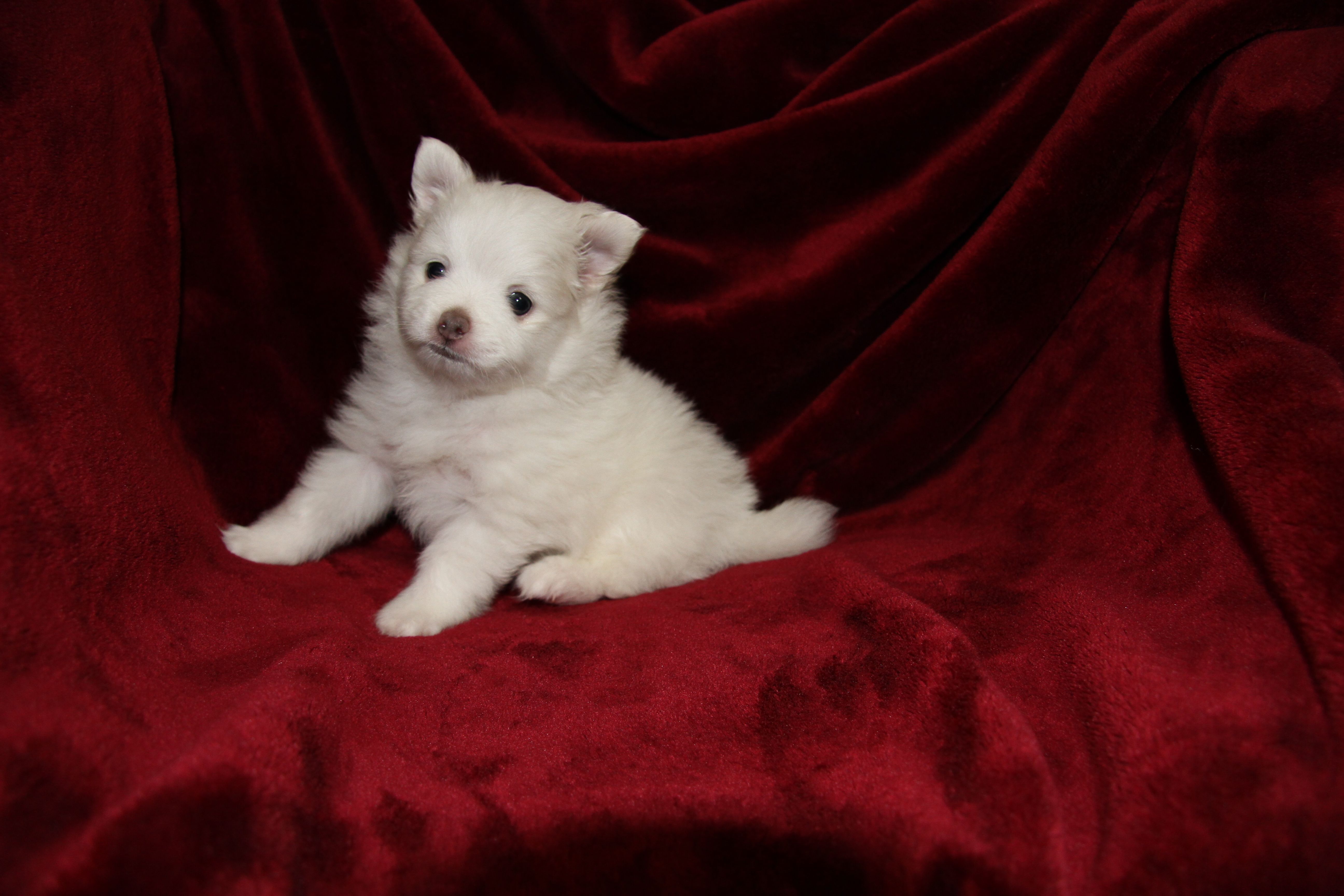 Photos!! thumbnail 3