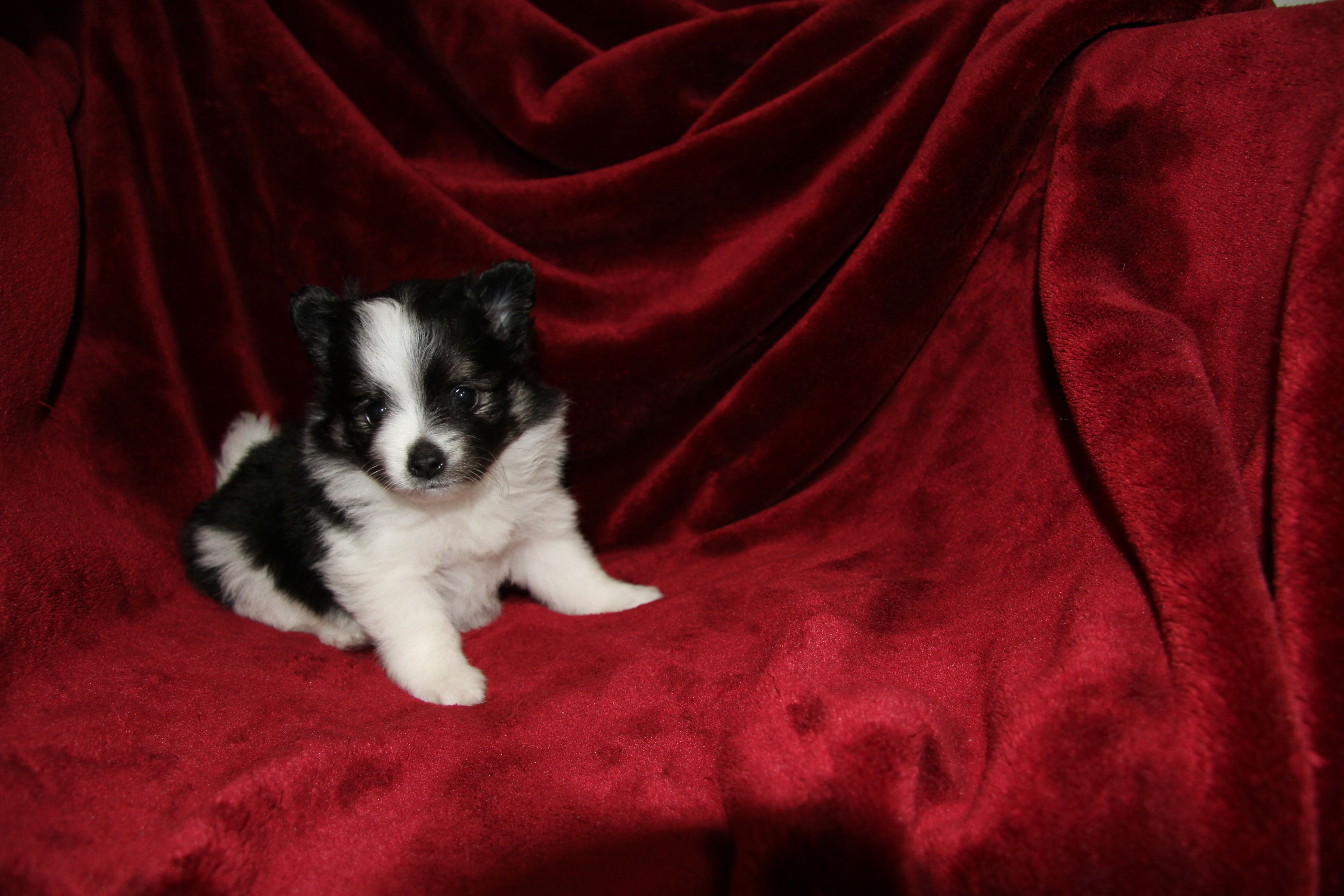 Photos!! thumbnail 5