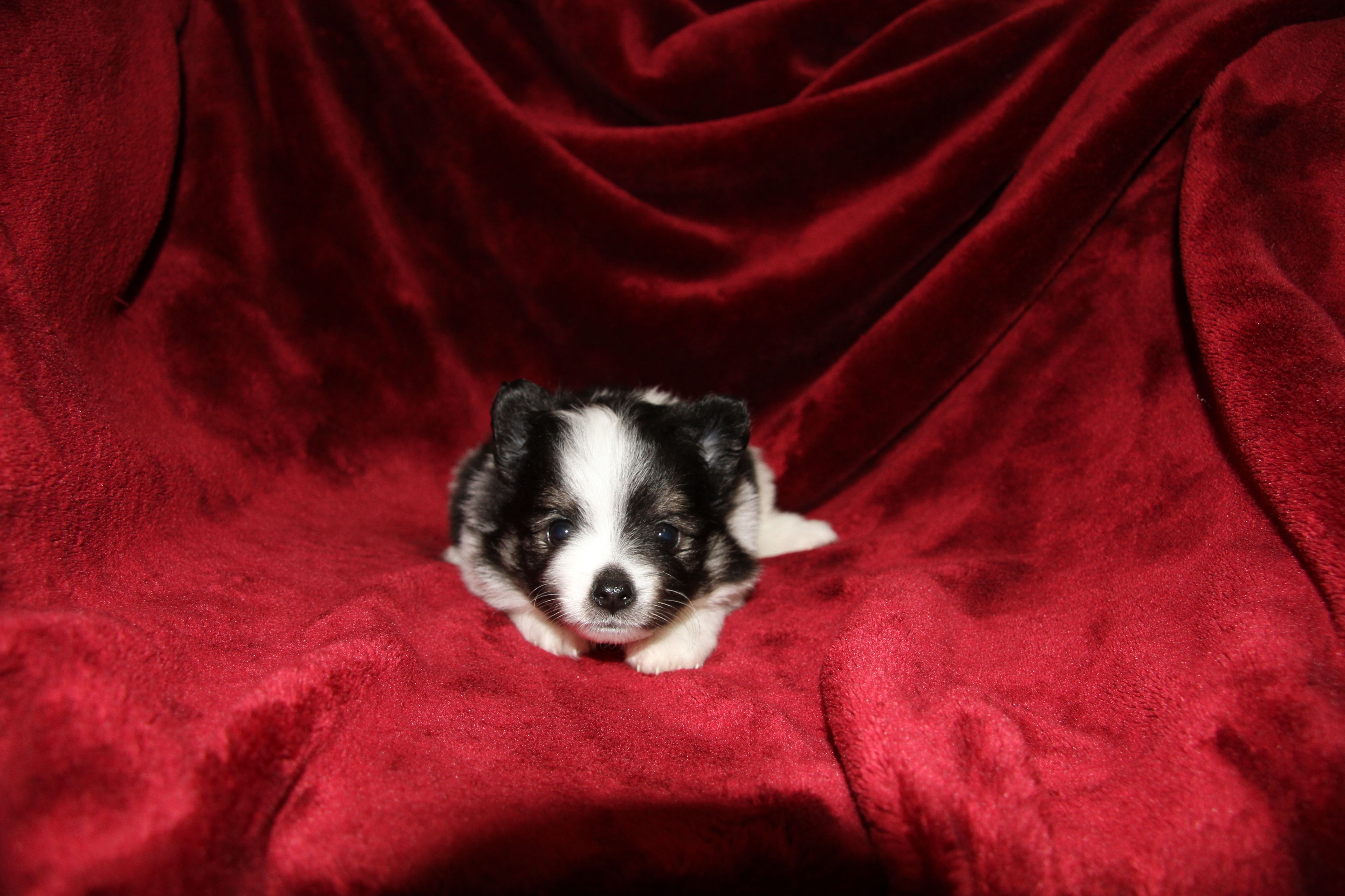 Photos!! thumbnail 6