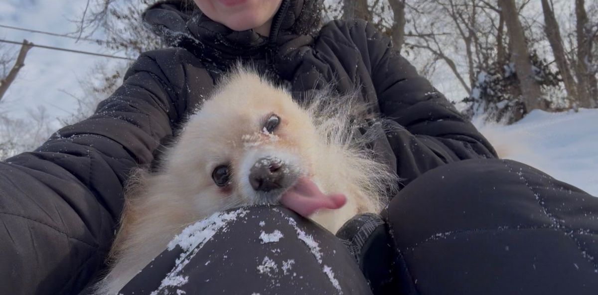 Snow Day's!! 