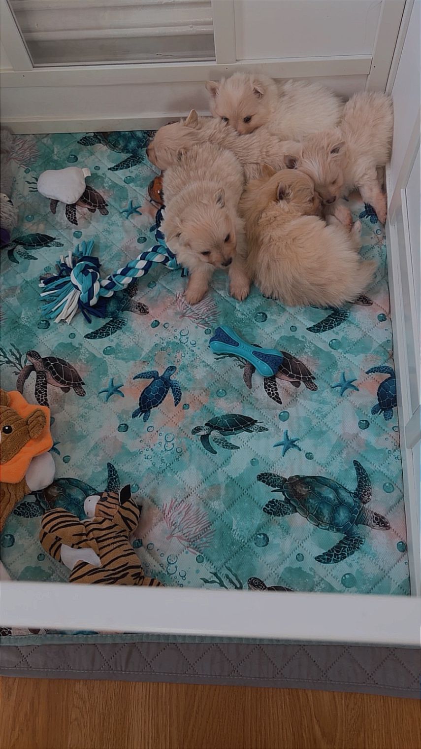 Our Growing Babies!!  thumbnail 2