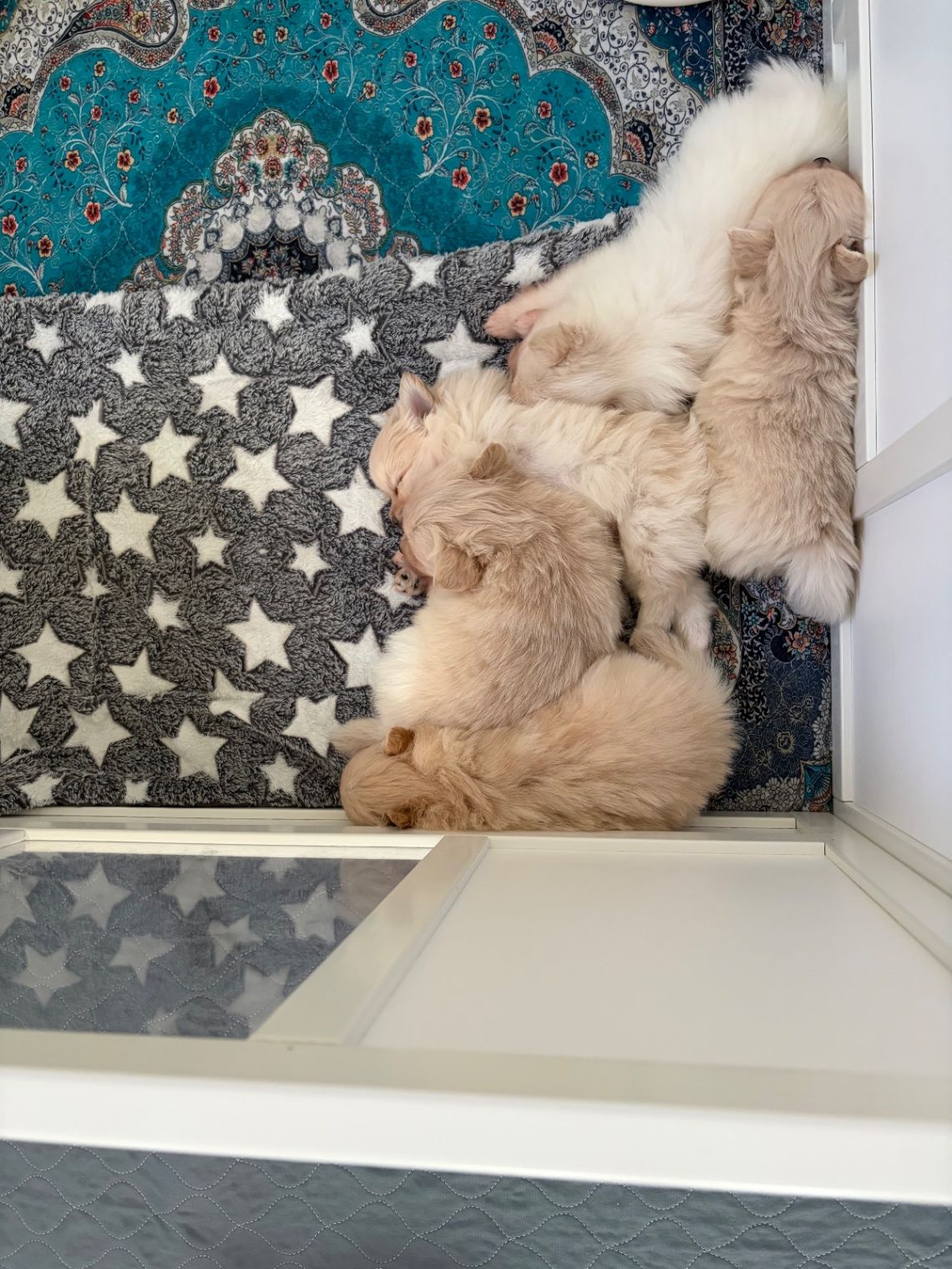So Sleepy. 